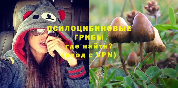 мяу мяу кристалл Няндома