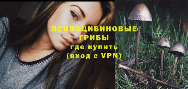 спайс Нягань
