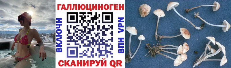 Галлюциногенные грибы Magic Shrooms  Туринск 